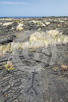 Pu`u Loa Petroglyphs. Volcanoes National Park, Big Island Hawaii