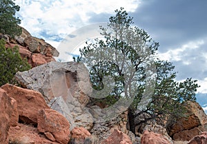 Ancient Quarry photo