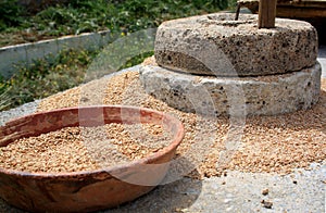 The ancient quern stone hand mill with a bowl of grain