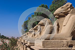 Ancient Ram Headed Sphinx statues at Karnak Temple Complex near Luxor