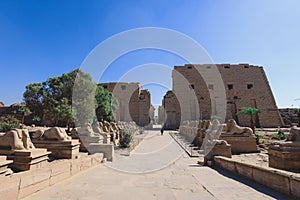 Ancient Ram Headed Sphinx statues at Karnak Temple Complex near Luxor