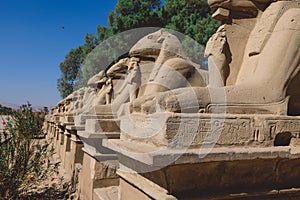 Ancient Ram Headed Sphinx statues at Karnak Temple Complex near Luxor