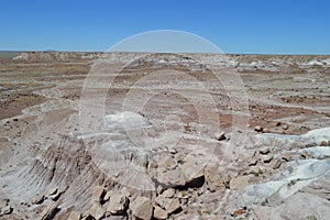 Ancient Riverbed of Petrified National Forest desert floor Panorama