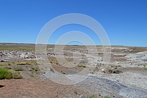 Ancient Riverbed of Petrified National Forest desert floor Panorama