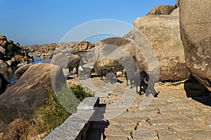 Ancient road in Hampi, Karnataka, India