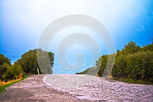 An ancient road winding through bushes