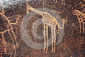 Ancient rock art in Niger depicting a giraffe