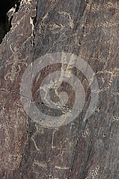 Ancient rock drawings, deer with high branched horns