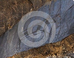 Ancient rock drawings petroglyph, buffalo