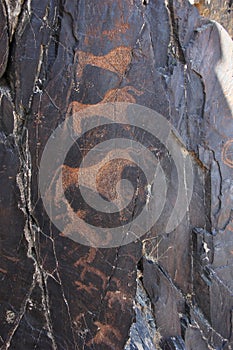 Ancient rock drawings petroglyph, deer, dog, bull, buffalo