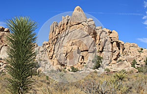 Ancient Rock Formations at Joshua Tree National Park in California