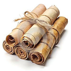 Ancient Rolled Scrolls Isolated on White Background photo