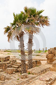 Ancient Roman City of Caesarea in Israel