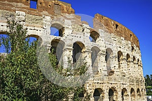 Ancient Roman Colosseum Rome Italy