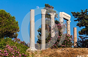 Ancient roman columns in Byblos in Lebanon