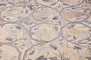 Ancient Roman floor mosaic at the ruins of the Saint Stevens Church at an archeological site in Umm ar-Rasas, Jordan.