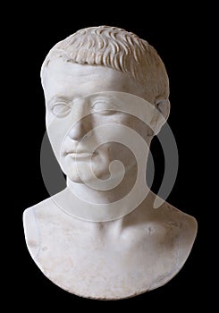 Bust of Dionysos