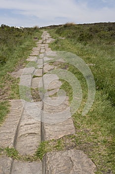 Ancient roman road and cart tracks