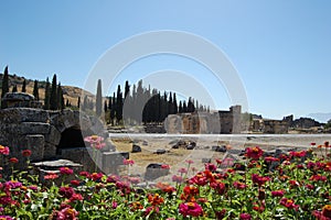 Ancient Roman ruins of Hierapolis (Turkey)  next to the natural hot springs of Pamukkale. photo