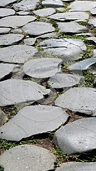 Ancient Roman stone pavement with plants between the fissures smoothed by time