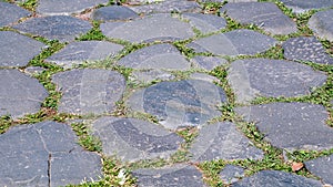 Ancient Roman stone pavement with plants between the fissures smoothed by time