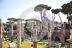 Ancient Rome Sculpture and Architecture