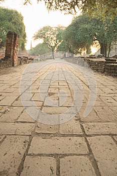 Ancient ruin pavement