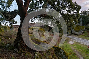 Ancient ruin stone structure building covered with moss near Sao Pedro chapel with trees and boulder landscape in Monsanto,