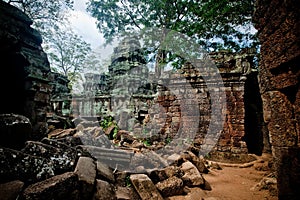 Ancient ruin of the Ta Phrom temple, Angkor Wat Cambodia