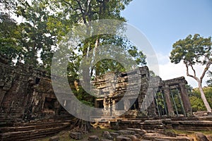 Ancient ruin of the Ta Phrom temple, Angkor Wat Cambodia