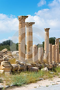 Ancient ruin at Umm Qais in Jordan