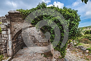 Ancient Ruined Arc and Ivy Wall in Stari Bar