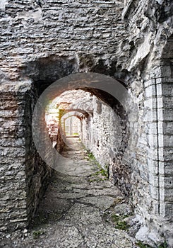 Ancient ruined St. Brigitta convent  1436 year  in Pirita region, Tallinn, Estonia