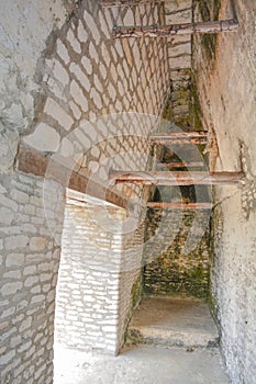 Ancient ruins in Belize