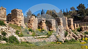 Ancient ruins of Carthage in Tunis