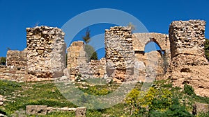 Ancient ruins of Carthage in Tunis