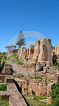 Ancient ruins of Carthage in Tunis