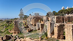 Ancient ruins of Carthage in Tunis