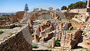 Ancient ruins of Carthage in Tunis