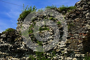 Ancient ruins of the castle of the town of Khust & x28;Dracula Castle