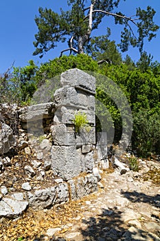 Ancient ruins in the city of Olympos near Cirali village in Antalya.