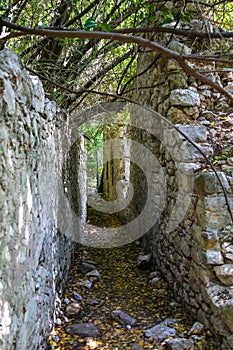 Ancient ruins in the city of Olympos near Cirali village in Antalya.