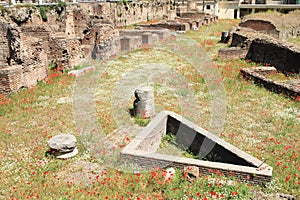 Ancient ruins by Colosseum