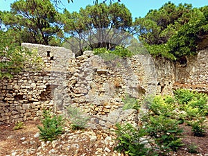 Ancient ruins in dry forest environment. Remains of a stone wall in a dry Mediterranean pine forest. Climate change and dry nature