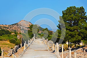 Ancient ruins in Ephesus Turkey