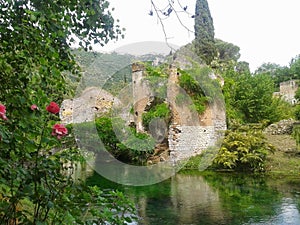 Ancient ruins in the garden of nymph in the Latium in Italy photo