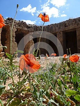 Ancient ruins in the island of Cyprus