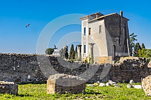 Ancient Ruins Museum Palantine Hill Rome Italy