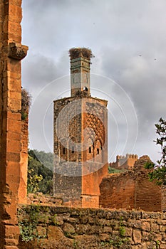 Ancient ruins in Necropolis of Cellah