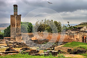 Ancient ruins in Necropolis of Cellah